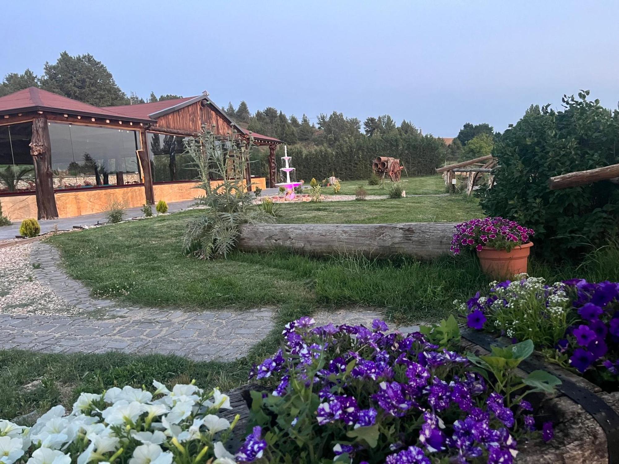 El Burgo De Osma Alojamiento Rural Villa Bagh Bagian luar foto