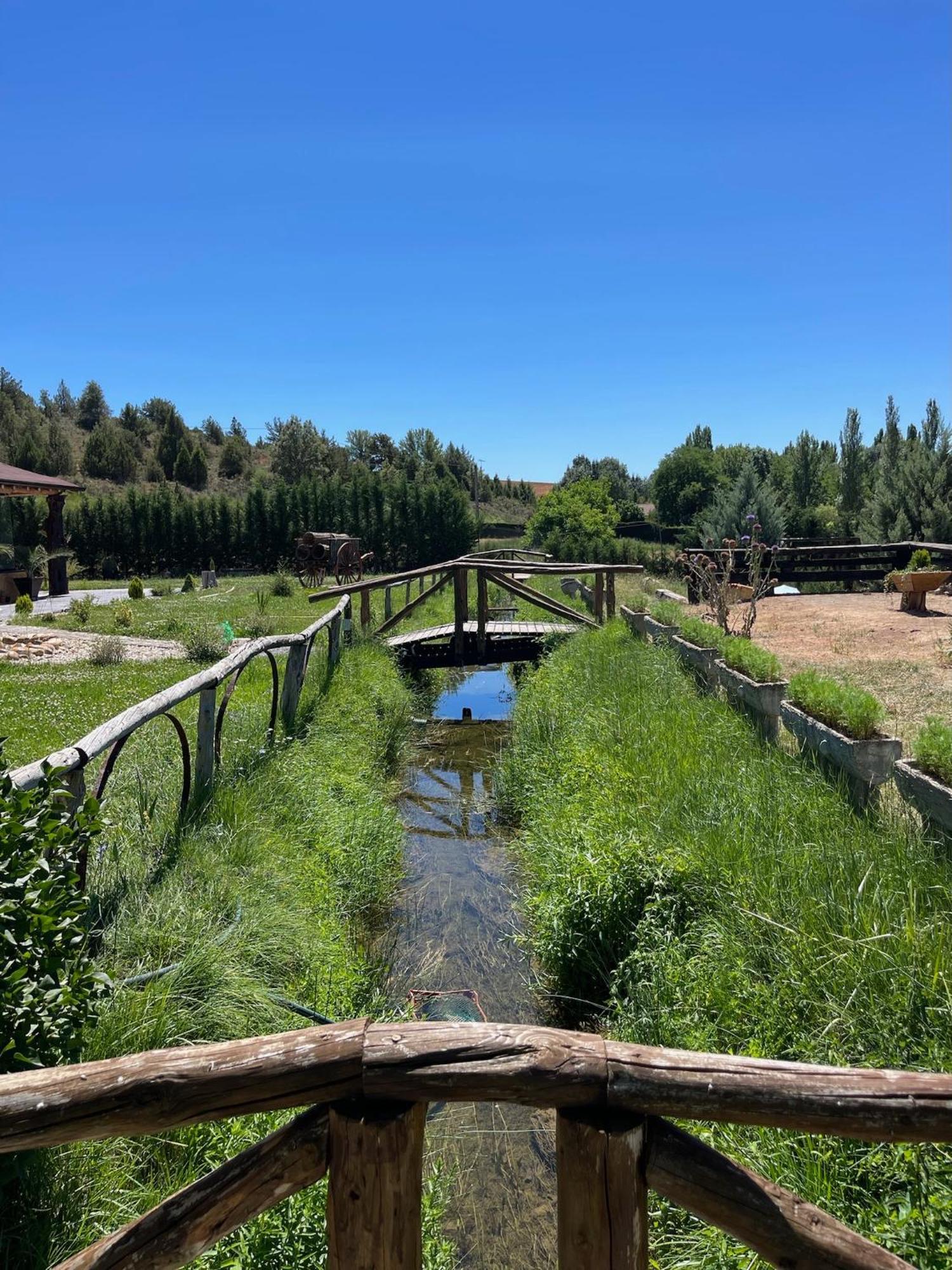 El Burgo De Osma Alojamiento Rural Villa Bagh Bagian luar foto