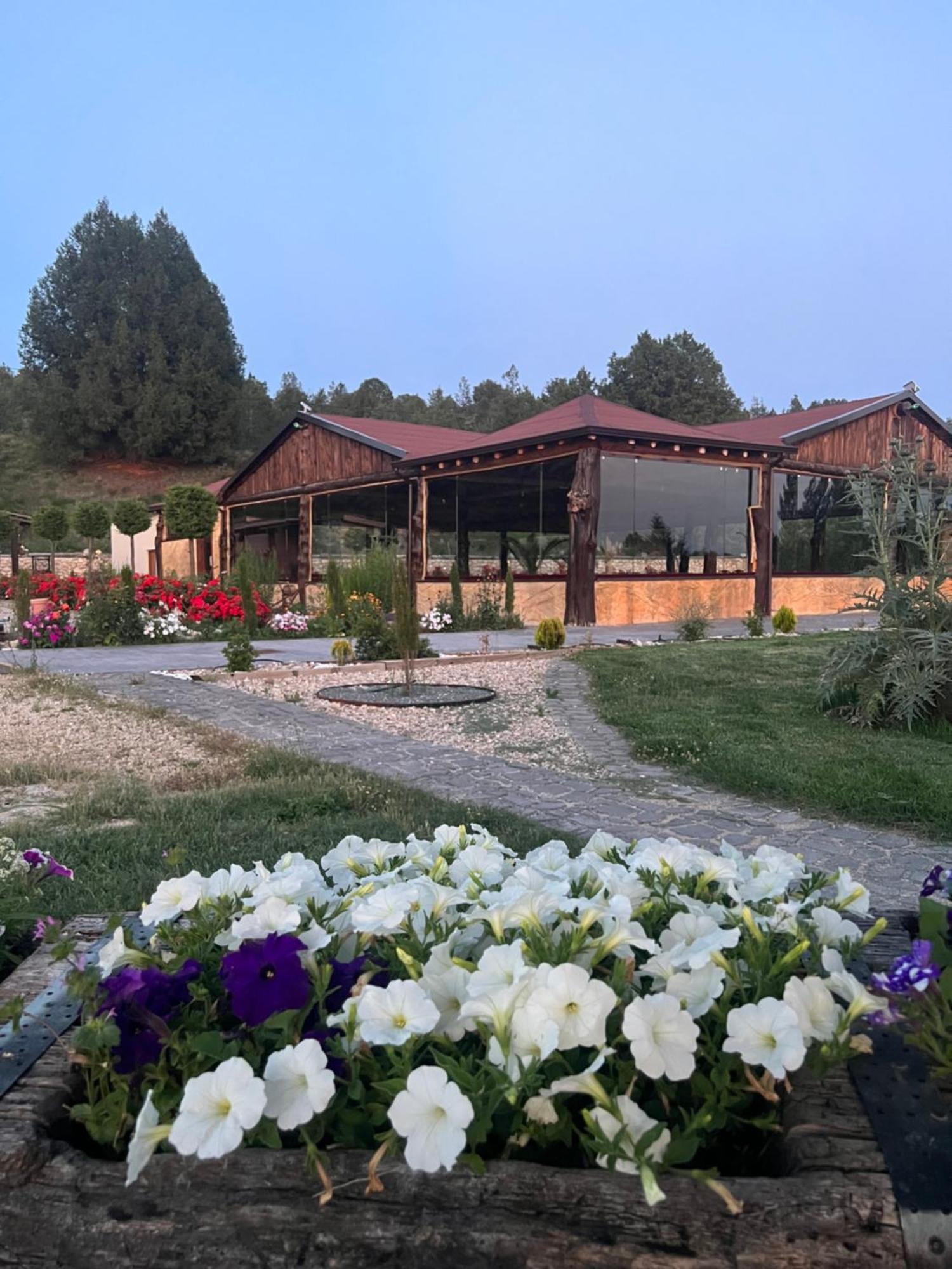 El Burgo De Osma Alojamiento Rural Villa Bagh Bagian luar foto